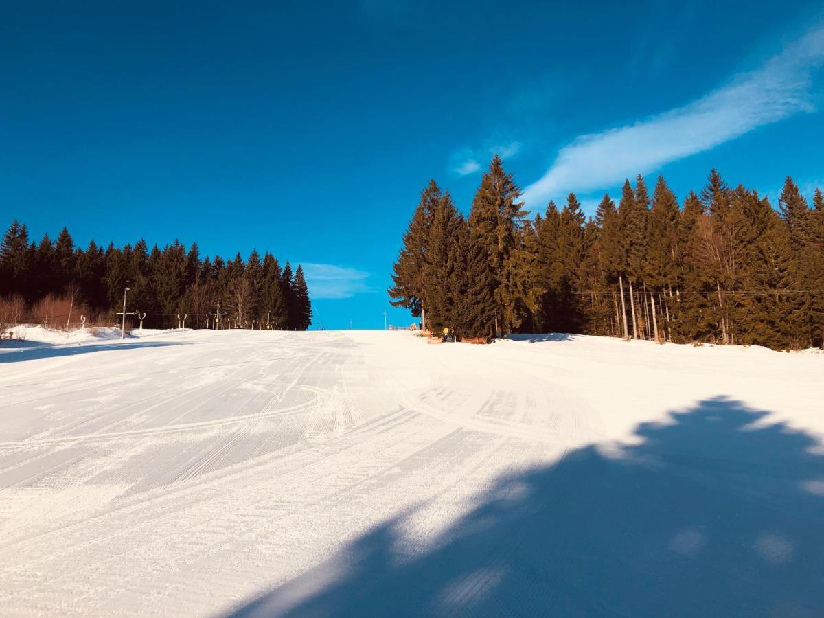 Apartmán Šumavský apartmán - Nový komfortní a prostorný, se zahradou Stachy Exteriér fotografie